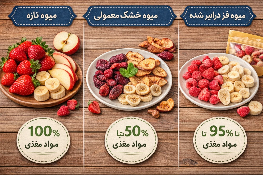 انواع میوه خشک فریز درایر