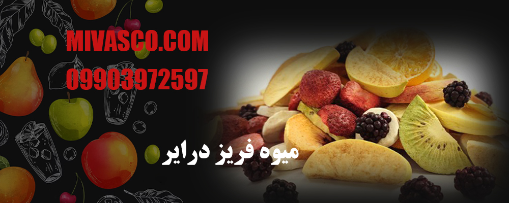 میوه فریز درایر