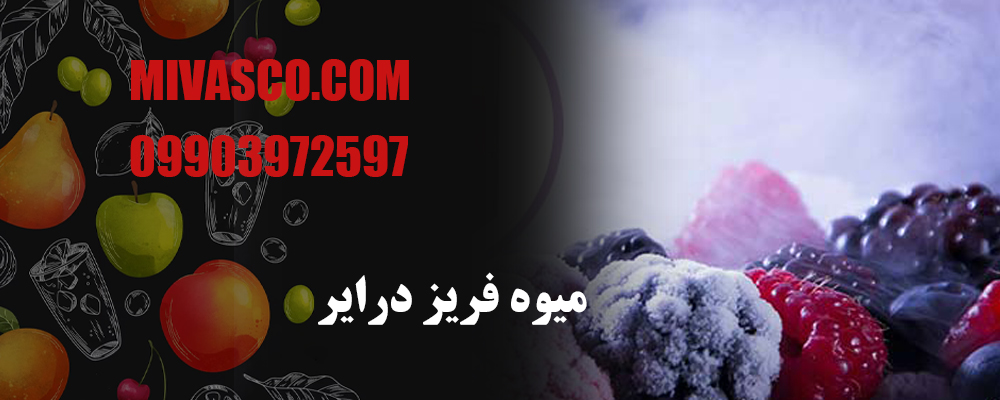 میوه فریز درایر