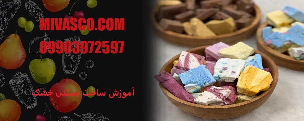 آموزش ساخت بستنی خشک