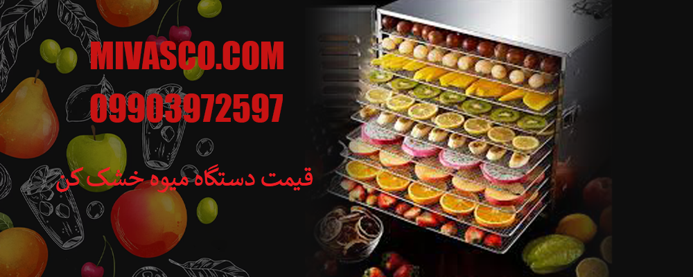 قیمت دستگاه میوه خشک کن