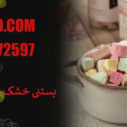 بستنی خشک میکس میوه ای