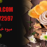میوه خشک استوایی