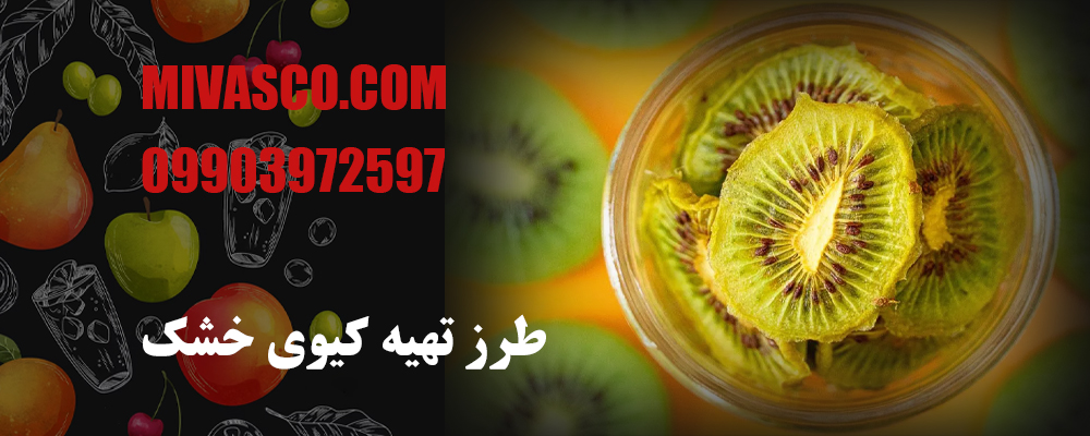 طرز تهیه کیوی خشک