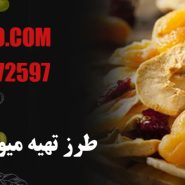 طرز تهیه میوه خشک خانگی