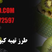 طرز تهیه کیوی خشک در فر
