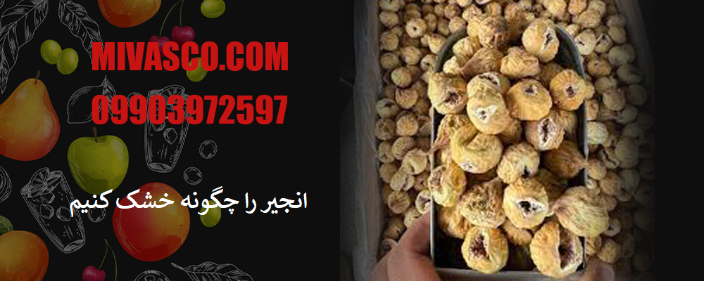 انجیر را چگونه خشک کنیم