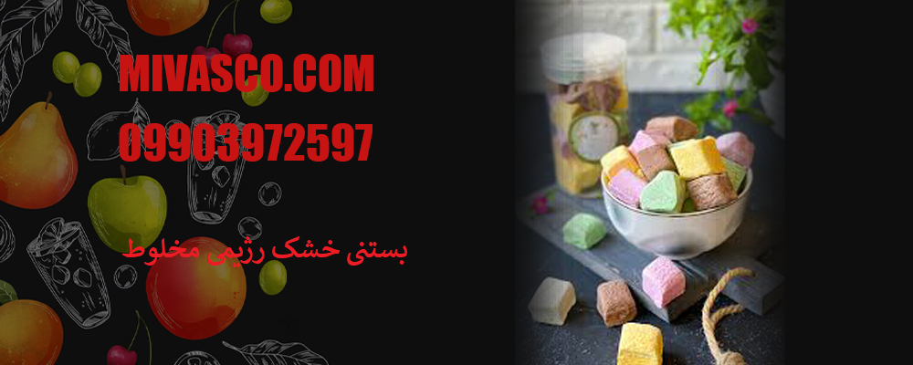 بستنی خشک رژیمی مخلوط