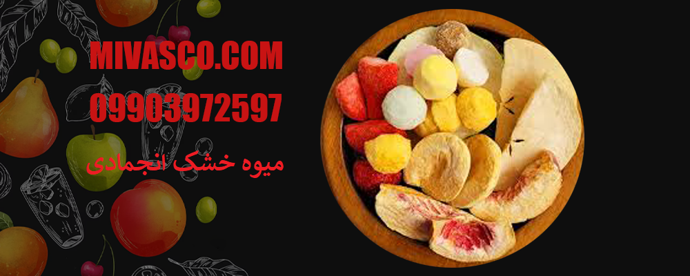 میوه خشک انجمادی