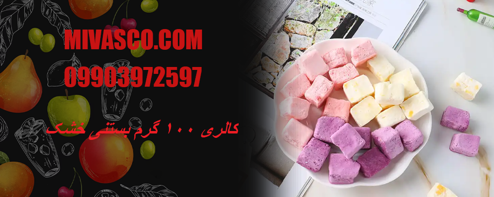 کالری ۱۰۰ گرم بستنی خشک