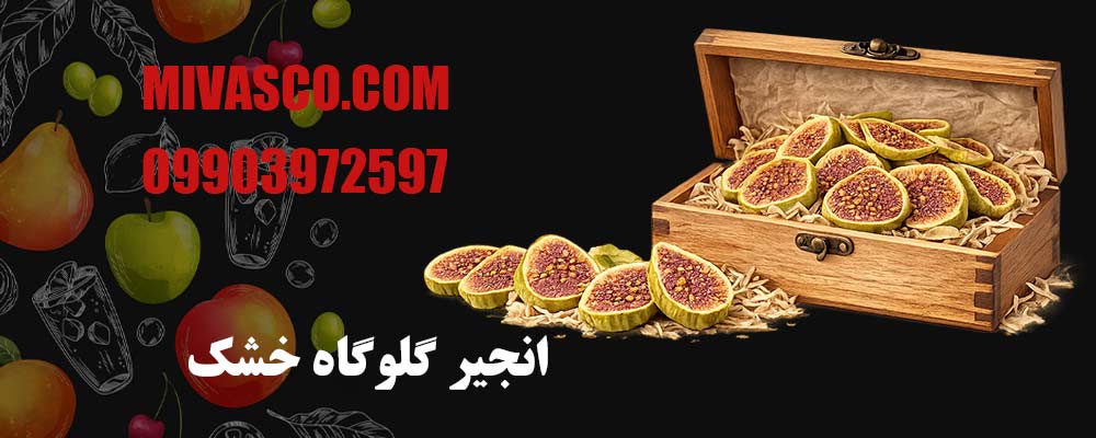 انجیر گلوگاه خشک